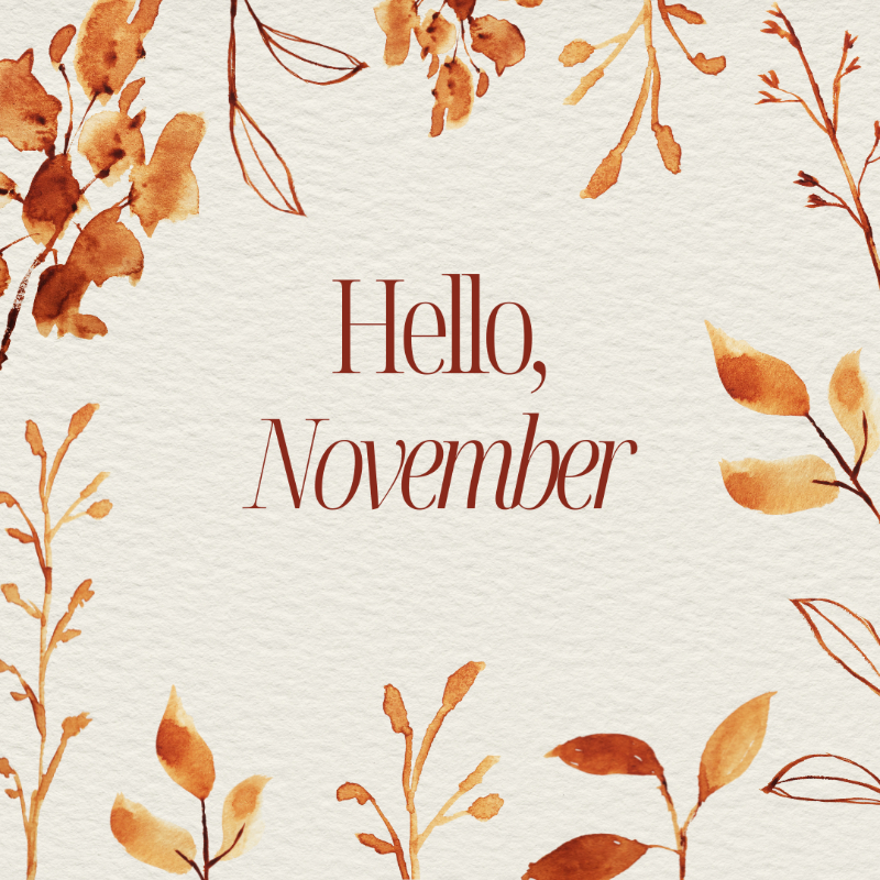 November Newsletter
