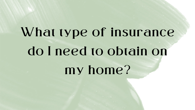 August-what-type-of-insurance
