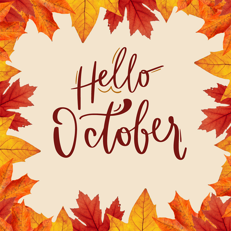 October-newsletter-feature