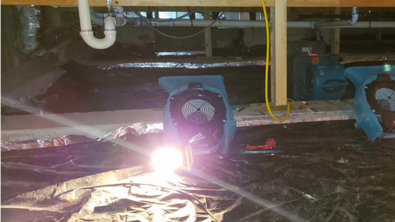 February Newsletter